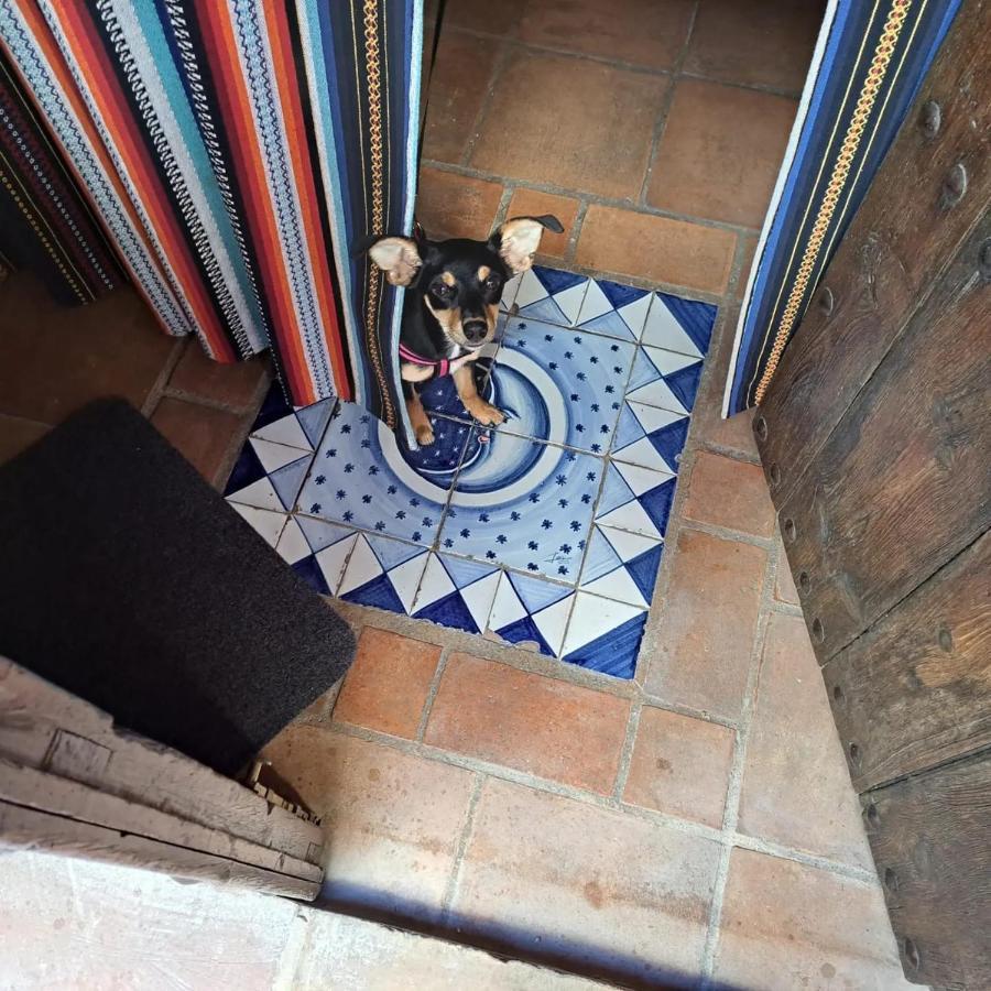 Can Lluna Tu Casa Zen Tárbena エクステリア 写真